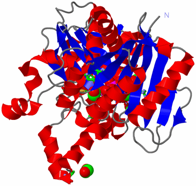 Image Asym. Unit - sites