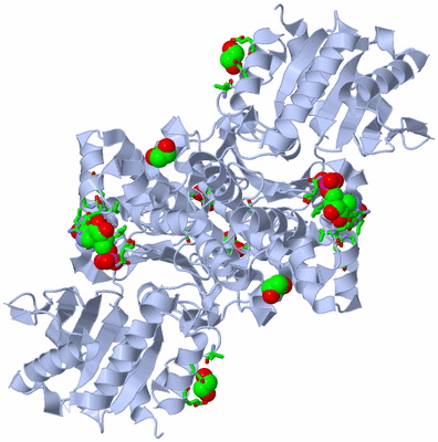 Image Biol. Unit 1 - sites