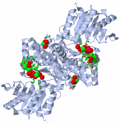 Image Biol. Unit 1 - sites