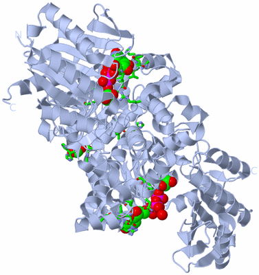 Image Biol. Unit 1 - sites