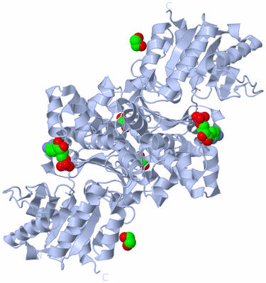 Image Biological Unit 1