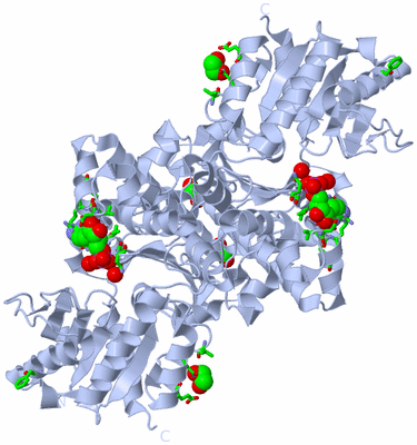 Image Biol. Unit 1 - sites