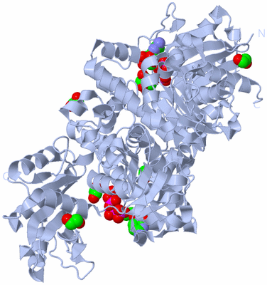 Image Biological Unit 1