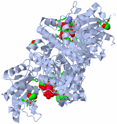 Image Biol. Unit 1 - sites