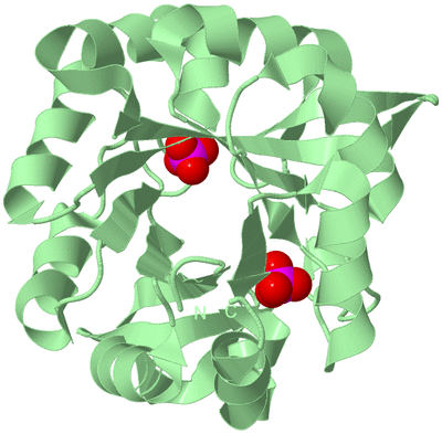 Image Biological Unit 2