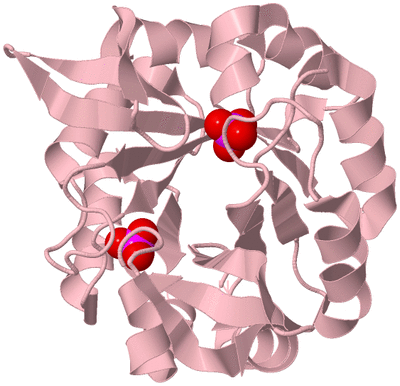 Image Biological Unit 3