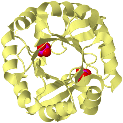 Image Biological Unit 4