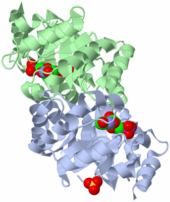 Image Asym./Biol. Unit