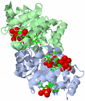 Image Asym./Biol. Unit - sites