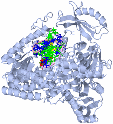 Image Biological Unit 1