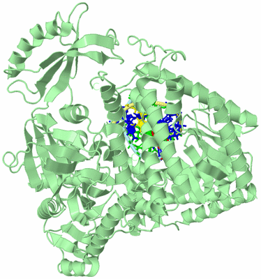 Image Biological Unit 2