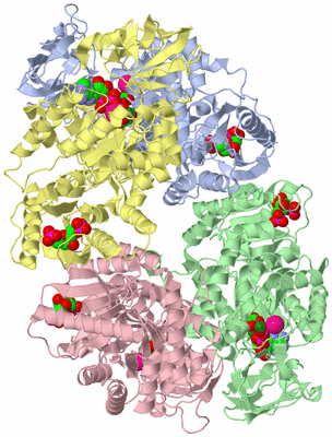 Image Asym./Biol. Unit