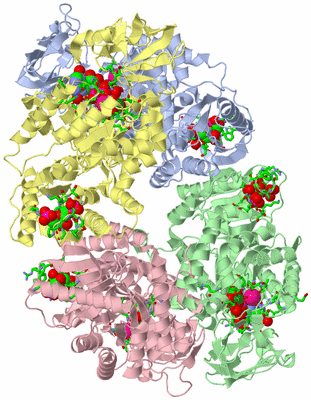 Image Asym./Biol. Unit - sites