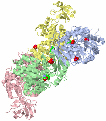 Image Asym./Biol. Unit