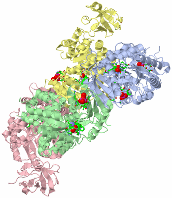 Image Asym./Biol. Unit - sites