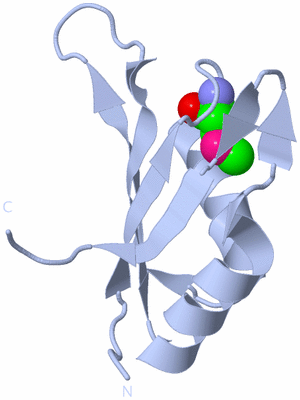 Image Biological Unit 1