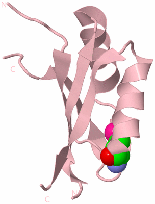 Image Biological Unit 3