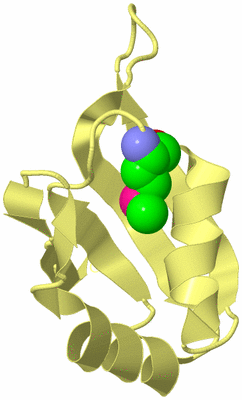 Image Biological Unit 4