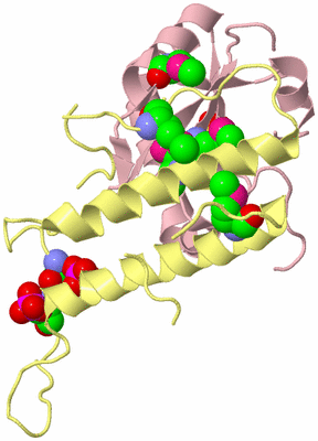 Image Biological Unit 2