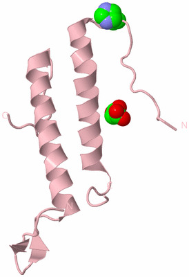 Image Biological Unit 3