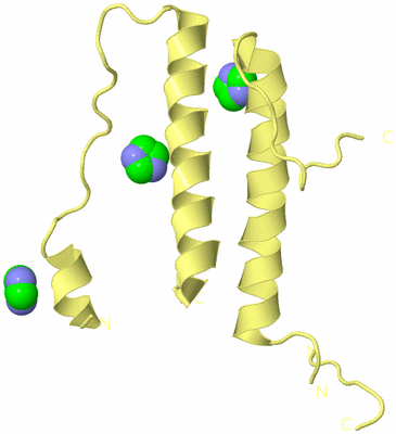 Image Biological Unit 4