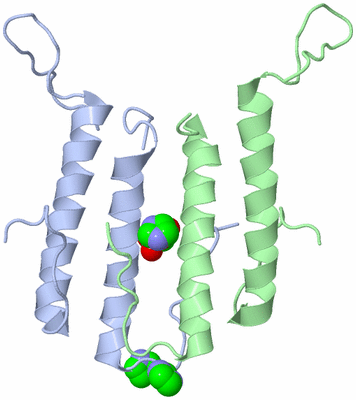 Image Biological Unit 5