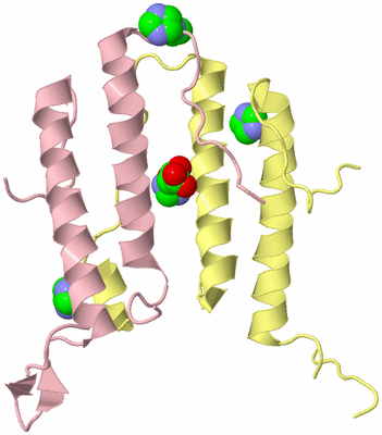 Image Biological Unit 6