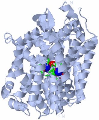 Image Biol. Unit 1 - sites