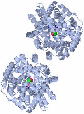 Image Biological Unit 2