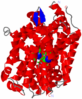 Image Asym. Unit - sites