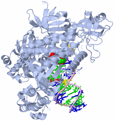 Image Biological Unit 1