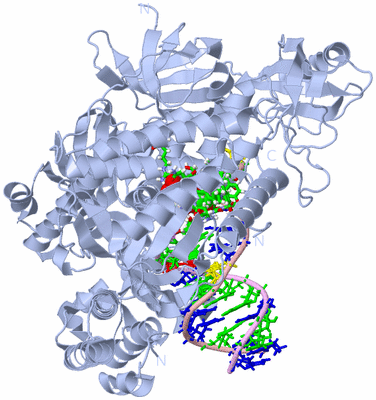 Image Biol. Unit 1 - sites