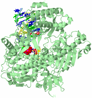 Image Biological Unit 2