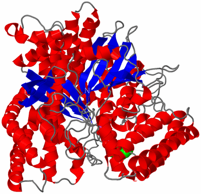 Image Asym./Biol. Unit