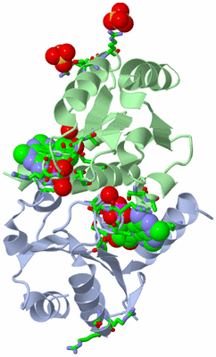 Image Biol. Unit 1 - sites