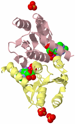 Image Biological Unit 2