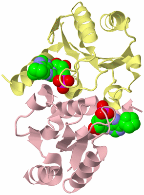 Image Biological Unit 2