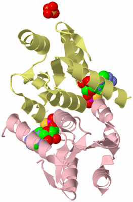 Image Biological Unit 2