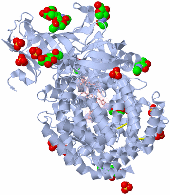 Image Asym./Biol. Unit