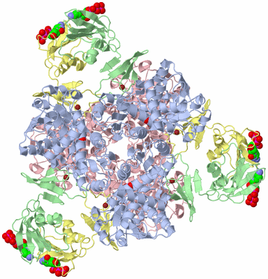 Image Biological Unit 1