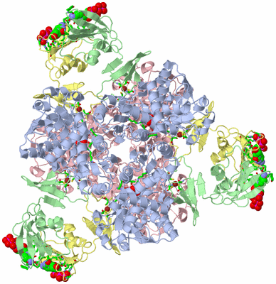 Image Biol. Unit 1 - sites