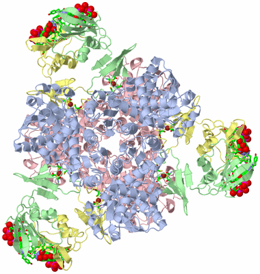 Image Biol. Unit 1 - sites