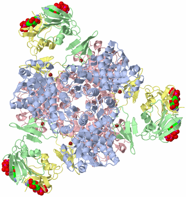 Image Biological Unit 1