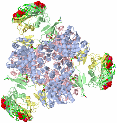 Image Biol. Unit 1 - sites