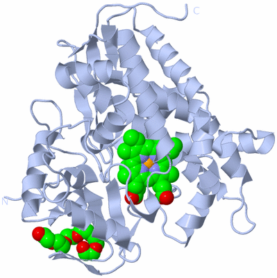 Image Biological Unit 1