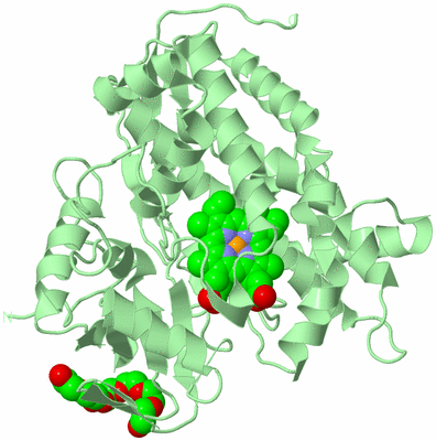 Image Biological Unit 2