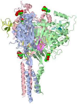 Image Asym./Biol. Unit - sites