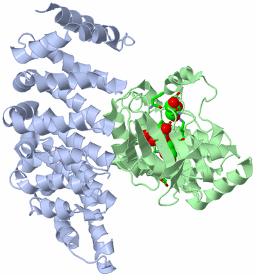 Image Asym./Biol. Unit - sites