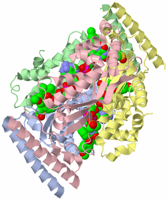 Image Biological Unit 1