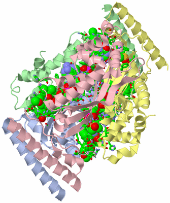 Image Biol. Unit 1 - sites